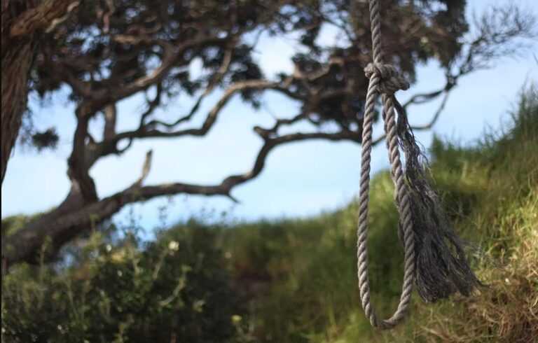 Με τραγικό τρόπο έβαλε τέλος στη ζωή του ένας 80χρονος – Κρεμάστηκε από δέντρο και τον βρήκε ο γιος