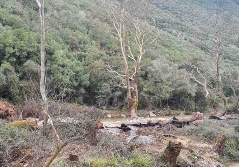 Περιφέρεια Ηπείρου: Ξοδεύει αβέρτα χρήμα με απευθείας αναθέσεις στο όνομα του μεταχρωματικού έλκους! – Το… “πάρτι” συνεχίζεται…