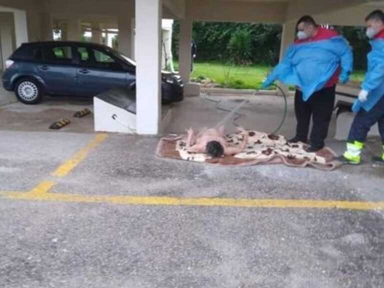 Εικόνες ντροπής: Πλήρωμα ασθενοφόρου πλένει με λάστιχο γυμνή γυναίκα σε πυλωτή