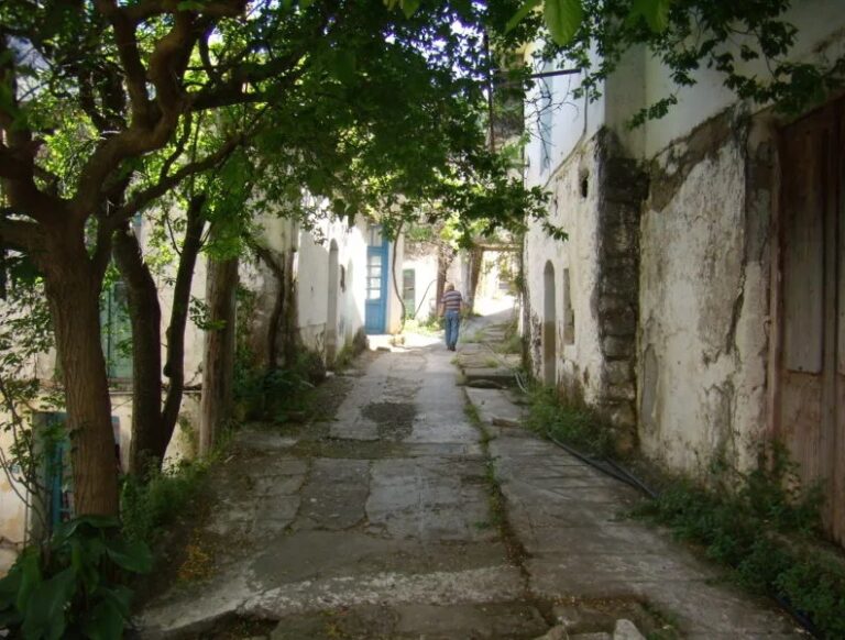 «Αργοπεθαίνει» η Ηπειρωτική ύπαιθρος – Ακρίβεια και οικονομικές δυσκολίες «διώχνουν» τους νέους από την Ήπειρο 