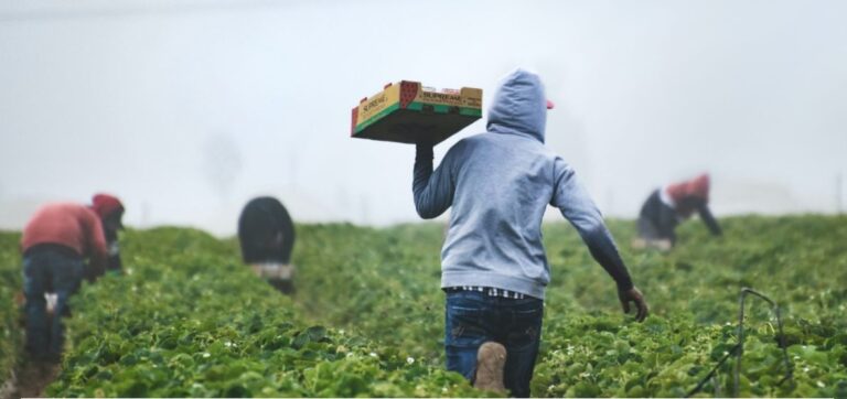 Άδειες διαμονής σε 7.920 εργάτες από Αίγυπτο και Μπαγκλαντές για να εργαστούν στην Ήπειρο