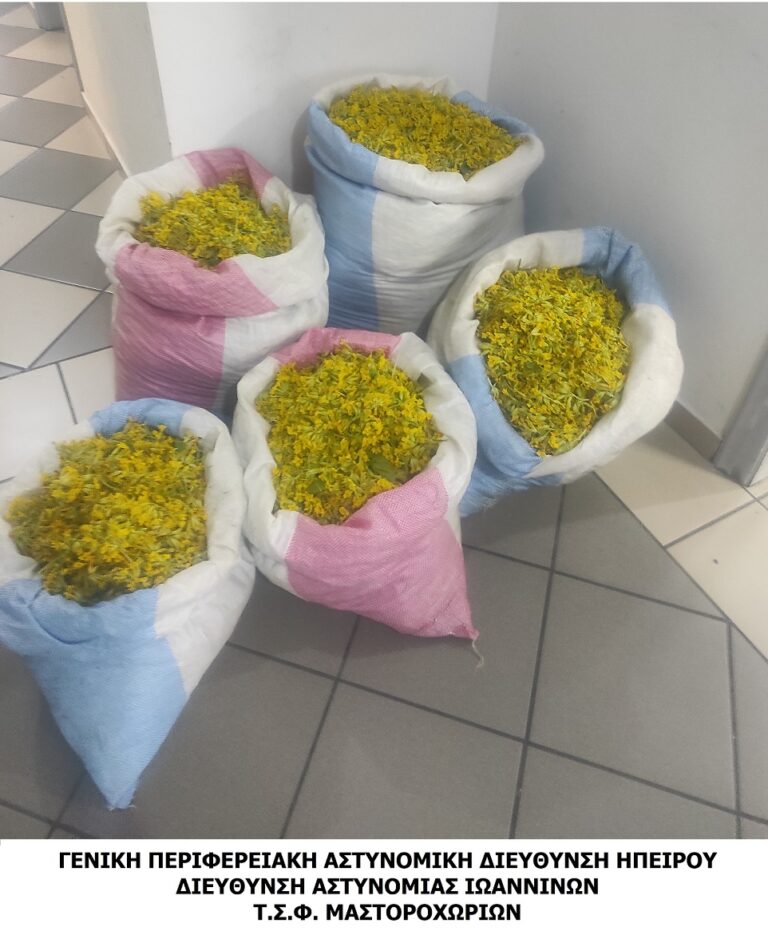 Ιωάννινα: Συνελήφθη Αλβανός με 47,5 κιλά προστατευόμενου αρωματικού φυτού «Primula veris»