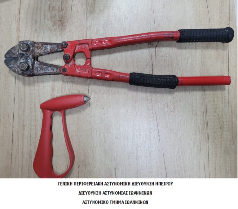 Ιωάννινα: Συνελήφθησαν 9 ανήλικοι για φθορές σε σχολείο