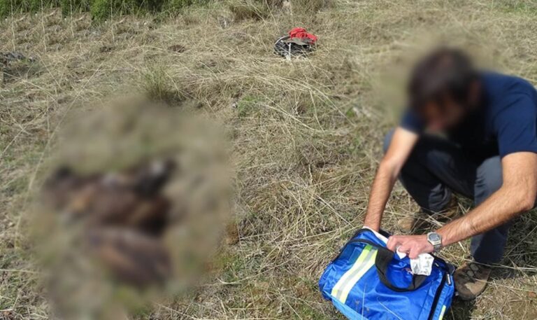 Εντοπίστηκαν δηλητηριασμένα δολώματα σε Κόνιτσα και Μέτσοβο