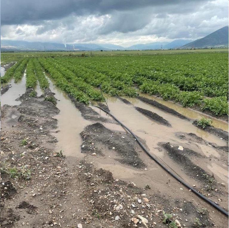 Τα… καμώματα του καιρού έπληξαν σοβαρά τους αγρότες – Προβλήματα στο Λεκανοπέδιο Ιωαννίνων και στις πεδιάδες Άρτας και Πρέβεζας