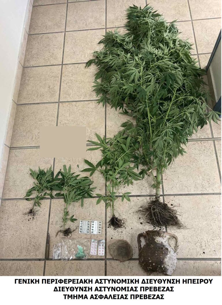 Πρέβεζα: Συνελήφθη στο σπίτι του με αρχαιά, ναρκωτικά και όπλο χωρίς άδεια