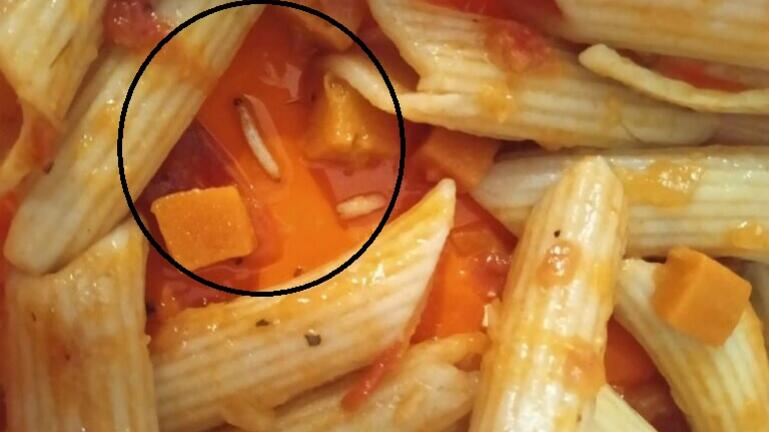 Θεσπρωτία: Σκουλήκια σε σχολικό γεύμα μαθητή Δημοτικού Σχολείου Γλυκής