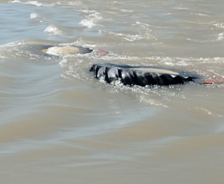 Tραγικό τέλος για 78χρονο αγρότη: Έπεσε με το τρακτέρ σε γκρεμό και μετά στο ποτάμι