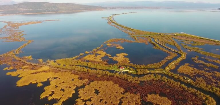 Αμβρακικός Κόλπος: Υπεγράφη για μια ακόμη χρονιά η σύμβαση για το πρόγραμμα παρακολούθησης τοξικών μικροφυκών