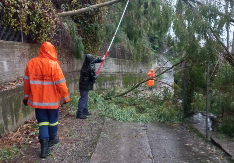 Αποκαταστάθηκαν τα προβλήματα που δημιούργησε η κακοκαιρία στον δήμο Σουλίου.