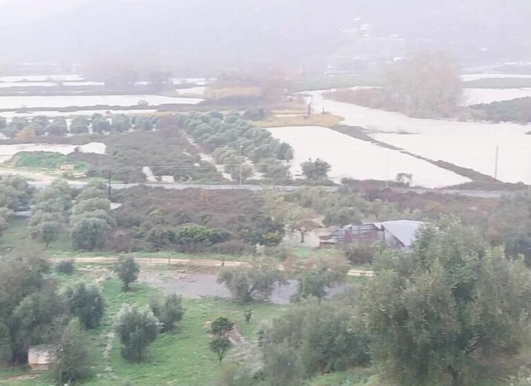 Θεσπρωτία: Πλημμύρισε για ακόμη μια φορά ο κάμπος της Σκάλας Φιλιατών – Βρυσέλλας