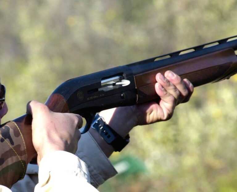 Παρ’ ολίγον τραγωδία στον Παλαιόπυργο του Δήμου Πωγωνίου – Δημοτικός σύμβουλος δέχθηκε σκάγια από καραμπίνα κυνηγού.