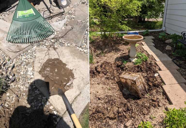 Φρίκη στη Γαλλία: Βρέθηκαν πάνω από 100 νεκρές γάτες θαμμένες σε κήπο σπιτιού και σε καταψύκτη