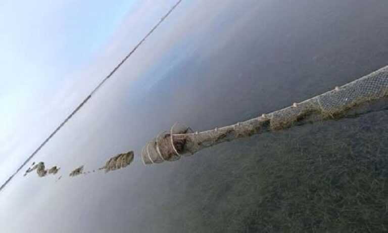 262 παράνομες ιχθυοπαγίδες ανασύρθηκαν από τον Αμβρακικό Κόλπο