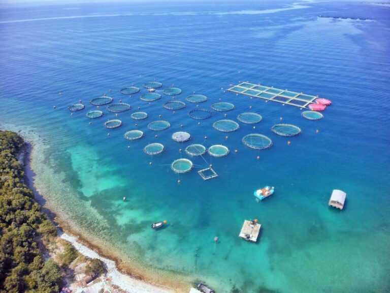 Σαγιάδα Θεσπρωτίας: Απορρίφθηκε η περιβαλλοντική αδειοδότηση της μονάδας ασφαλτικών από το Υπουργείο Περιβάλλοντος