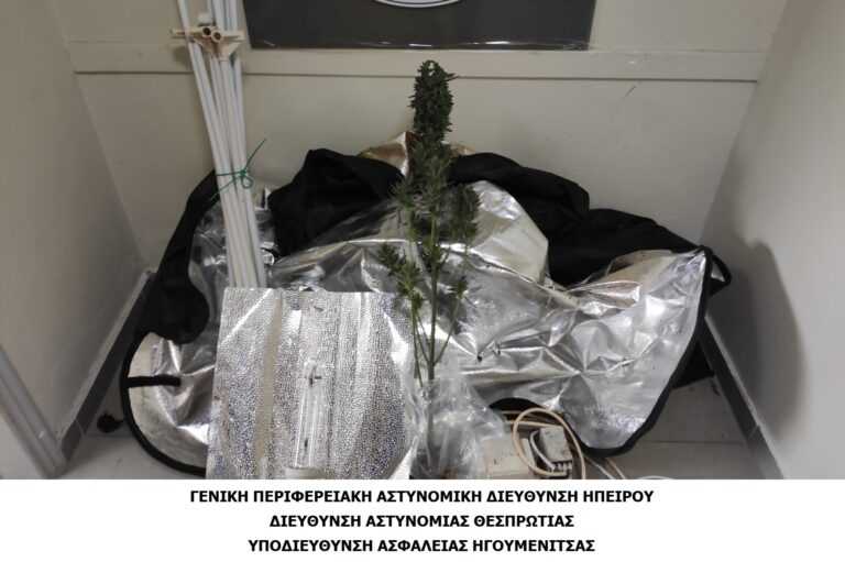 Θεσπρωτία: Συνελήφθη για κατοχή και καλλιέργεια κάνναβης στο σπίτι του
