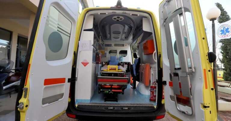 Σοκαριστική τραγωδία: 85χρονη εντοπίστηκε χωρίς κεφάλι – Την κατασπάραξε λύκος