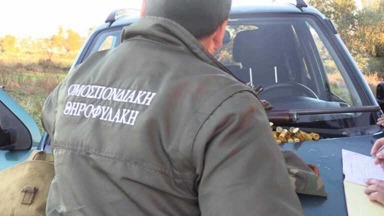 Ε ΚΟΗ Ηπείρου: Πρόστιμο 500 ευρώ, κατάσχεση Όπλου και Δικογραφία σε κυνηγό για παράνομη θήρα