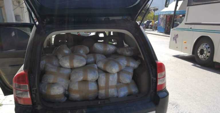 Θεσπρωτία: Αστυνομικοί μπλεγμένοι σε κύκλωμα διακίνησης ναρκωτικών – Μετέφεραν με υπηρεσιακό όχημα πάνω από 100 κιλά ακατέργαστη κάνναβη