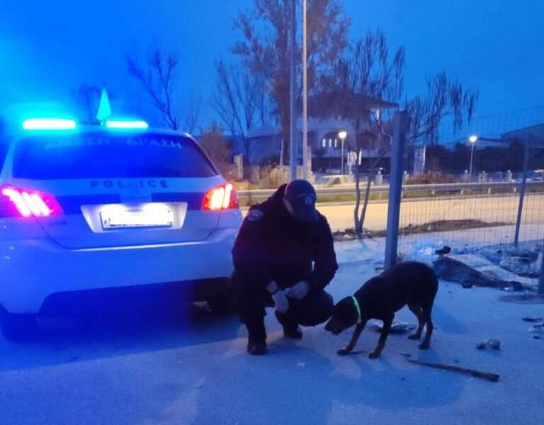 Ιωάννινα: Μαθητές συνελήφθησαν για ναρκωτικά και ξυλοδαρμό σε αστυνομικό