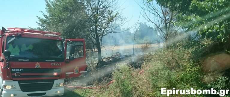 Θεσπρωτία: Φωτιά ξέσπασε σε χορτολιβαδική έκταση στον Μανδρότοπο Σουλίου