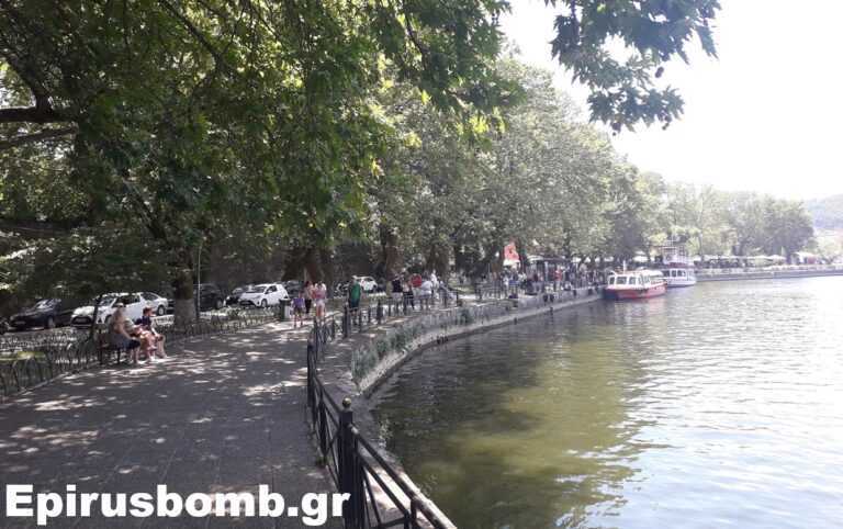 Απίστευτο περιστατικό στα Ιωάννινα: Ηλικιωμένος βούτηξε στη λίμνη επειδή τον κυνήγησαν… αδέσποτα!