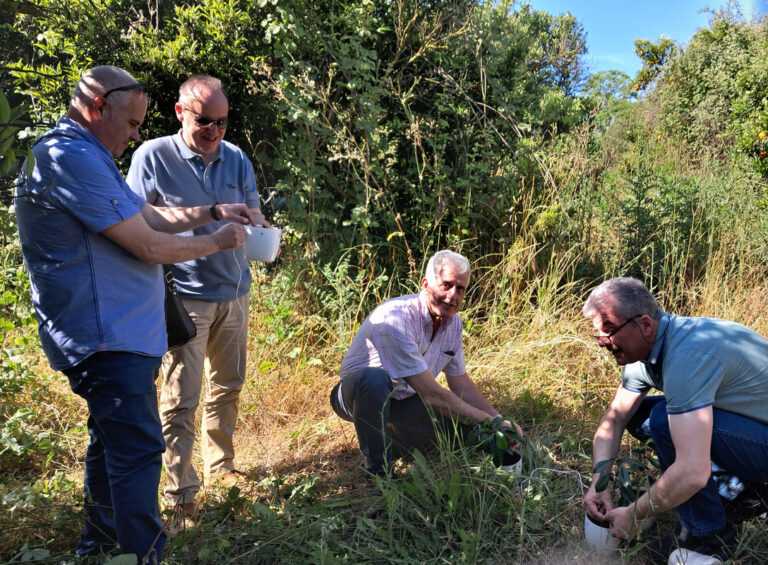 Από το Βιετνάμ στην Άρτα: Τοποθετήθηκαν οι πρώτες παγίδες για τον μαύρο ακανθώδους αλευρώδους σε έξι στρατηγικά σημεία στον κάμπο