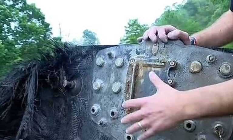 ΗΠΑ: Γιγάντιο παράξενο αντικείμενο «UFO» βρήκε άνδρας σε βουνό