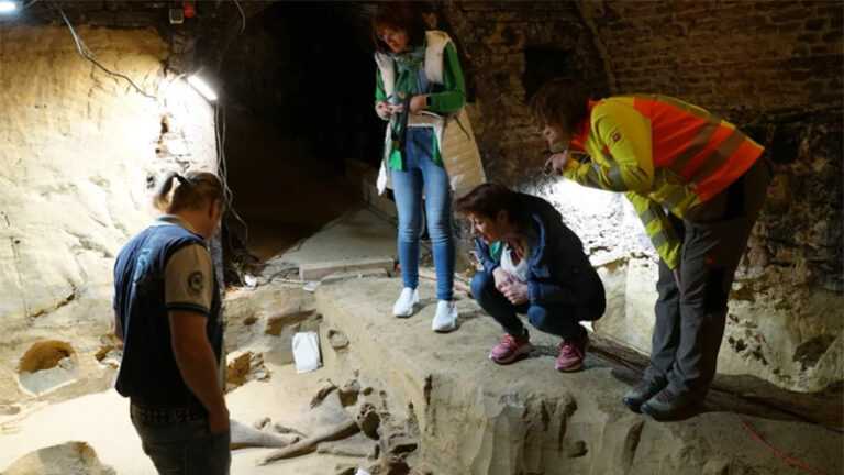 Αυστρία: Οστά προϊστορικών μαμούθ ανακάλυψε οινοπαραγωγός στο κελάρι του – Πρόκειται για το πιο σημαντικό εύρημα τα τελευταία 100 χρόνια