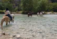 Νέος Κανονισμός για τον Ποταμό Αχέροντα: Ο Δήμος Σουλίου Βάζει τέλος στην διέλευση αλόγων