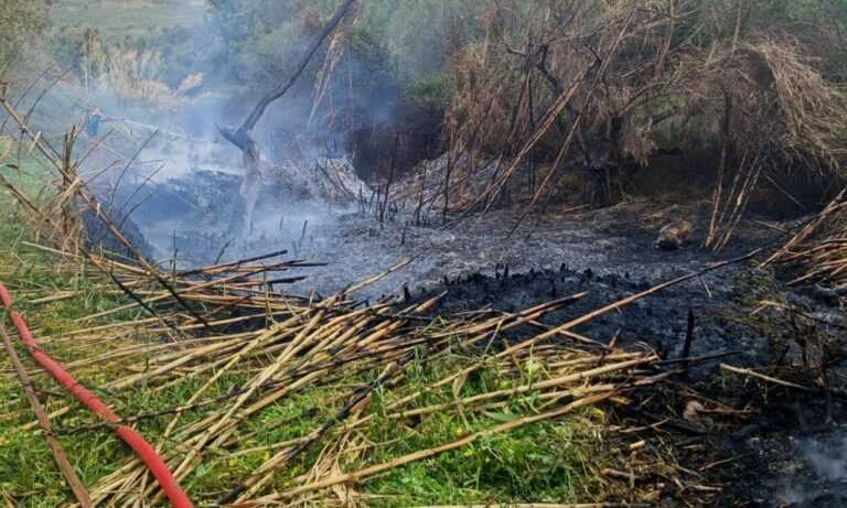 Ρόκα Άρτας: Βαρύ πρόστιμο σε κάτοικο που έκαιγε ξερά χόρτα