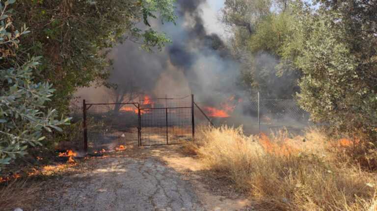 Φωτιά στο Λεκανοπέδιο Ιωαννίνων: Άμεση επέμβαση της Πυροσβεστικής κοντά σε φωτοβολταϊκά