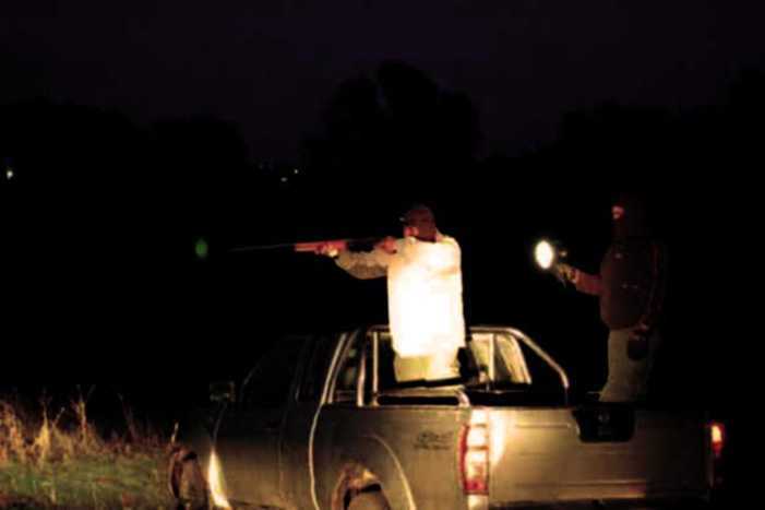 Ιωάννινα: 600 Ευρώ Πρόστιμο για Παράνομο Κυνήγι και Μεταφορά Όπλου στη Ζίτσα