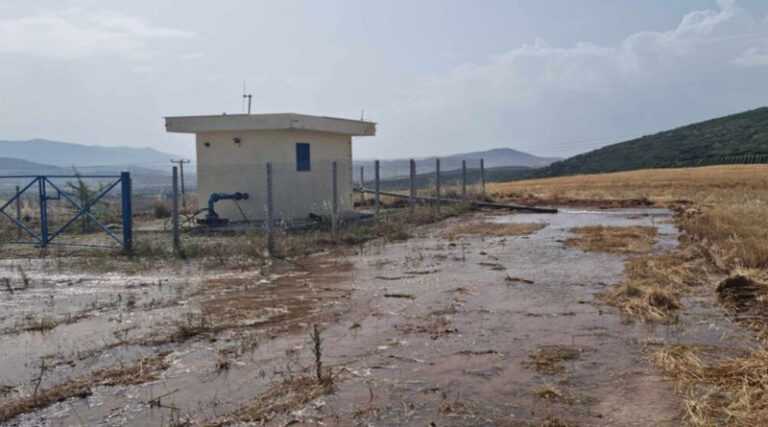 Κρίσιμη Κατάσταση στη Μαγνησία: Σαλμονέλα στις Πηγές – Αυστηροί Έλεγχοι στις Γεωτρήσεις