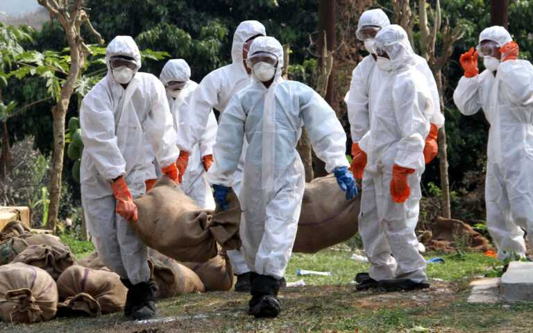 Κυβερνητικοί αξιωματούχοι καλούνται να δράσουν γρήγορα για να σταματήσουν την εξάπλωση της γρίπης των πτηνών.