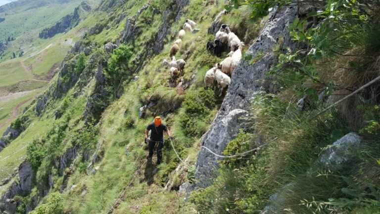 Εξαφάνιση 23χρονου Σλοβάκου στα Ιωάννινα: Συνεχίζονται οι έρευνες για δεύτερη μέρα