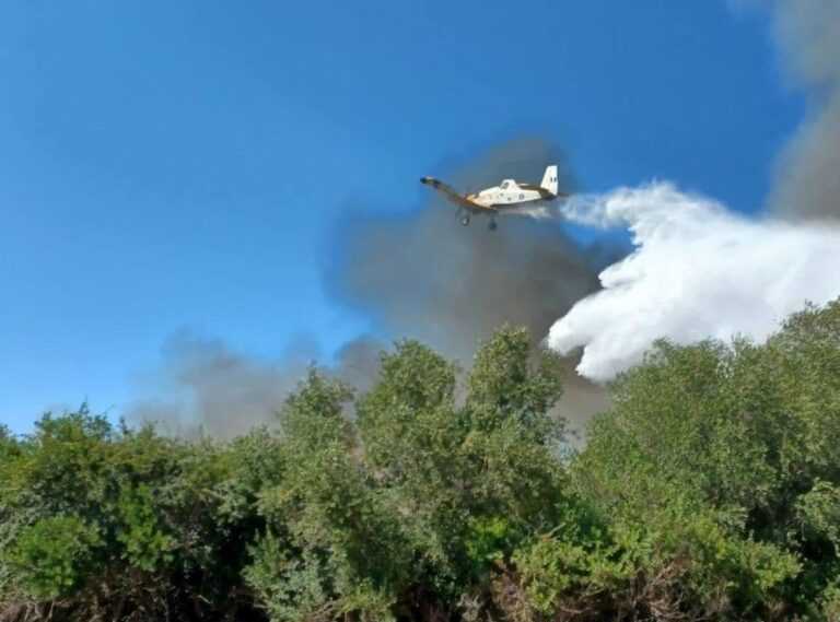 Καλαμίτσι Πρέβεζας: Οριοθετήθηκε η φωτιά – Στάχτη 100 στρέμματα δασικής και χαμηλής βλάστησης