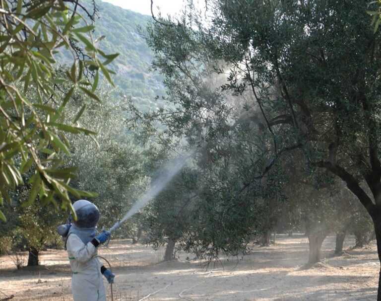 Ξεκινά ο πρώτος δολωματικός ψεκασμός σε όλες τις Τοπικές και Δημοτικές Κοινότητες της Πρέβεζας