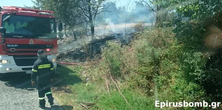Πυρκαγιά σε Αγροτοδασική Έκταση στη Φιλιππιάδα Πρέβεζας: Επιχειρούν 18 Πυροσβέστες με 9 Οχήματα και 5 Αεροσκάφη