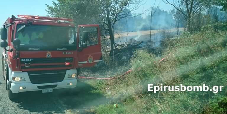 Φωτιά στη ΒΙ.ΠΕ. Πρέβεζας: Δυνάμεις της Πυροσβεστικής και Εναέρια Μέσα Στην Κατάσβεση
