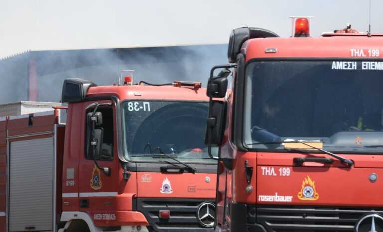 Υπό Μερικό Έλεγχο η Πυρκαγιά στην Περιοχή Αβγό Ιωαννίνων  – Ισχυρή Παρουσία Πυροσβεστικών Δυνάμεων