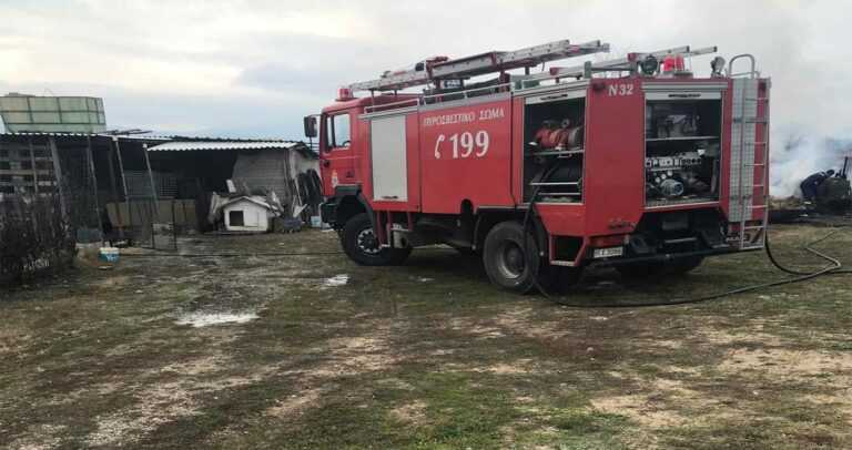 Ζίτσα Ιωάννινων: Πυρκαγιά σε Αγροτική Αποθήκη – Άμεση Ανταπόκριση της Πυροσβεστικής