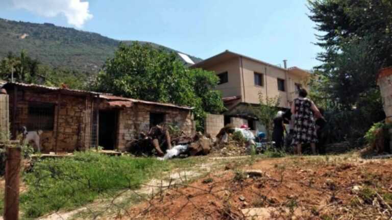 38χρονος προσωρινά κρατούμενος για τη δολοφονία της θείας του στα Ιωάννινα