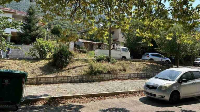 Εξέλιξη σοκ στα Ιωάννινα: Ομολόγησε ο ανιψιός την δολοφονία της 62χρονης θείας του