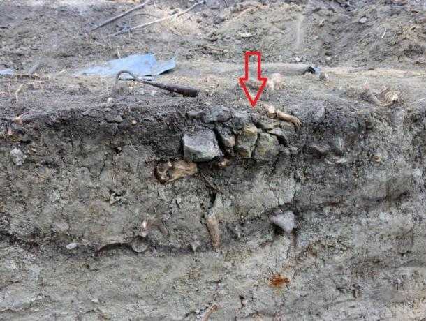 Σοκ και δέος από τους ερευνητές: Ανακαλύφθηκε στην Πολωνία Τάφος με αποκεφαλισμένο παιδί «βρικόλακα»