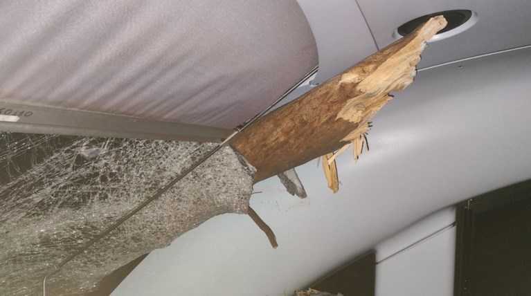 Η Κατάντια των Τρένων: ΟΣΕ και Δασαρχεία Αλληλοκατηγορούνται: Ποιος Έχει την Ευθύνη για την Κοπή Δέντρων που Κλείνουν τις Ράγες;