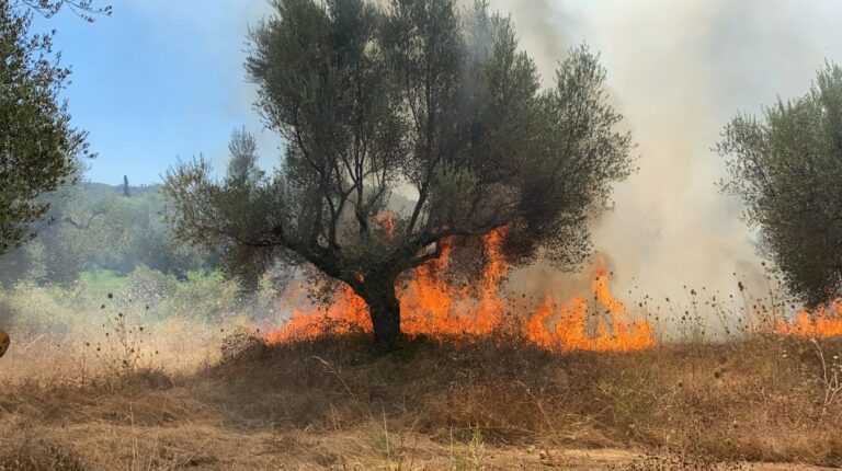 Επιβολή προστίμου 2.062,50 ευρώ για παράνομη καύση φυτικής βλάστησης στην Άρτα