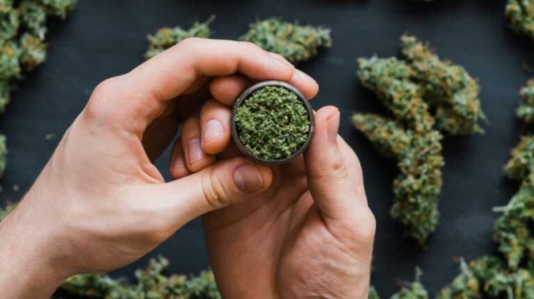 Και η Τσεχία: Η κυβέρνηση προτείνει τη χαλάρωση των κανόνων καλλιέργειας και κατοχής κάνναβης