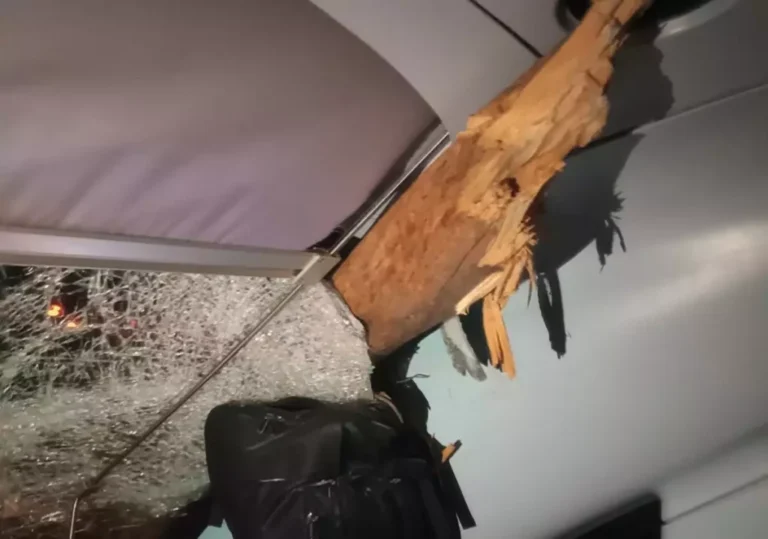 Παραλίγο Νέα Τραγωδία Στις Αφίδνες: Δέντρο Χτύπησε Την Καμπίνα Του Μηχανοδηγού