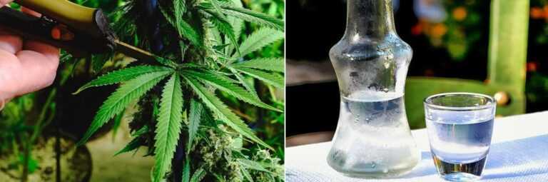 42χρονος έφτιαξε Ρακή με φύλλα κάνναβης – Η Συνταγή Του Κατέληξε Σε Σύλληψη